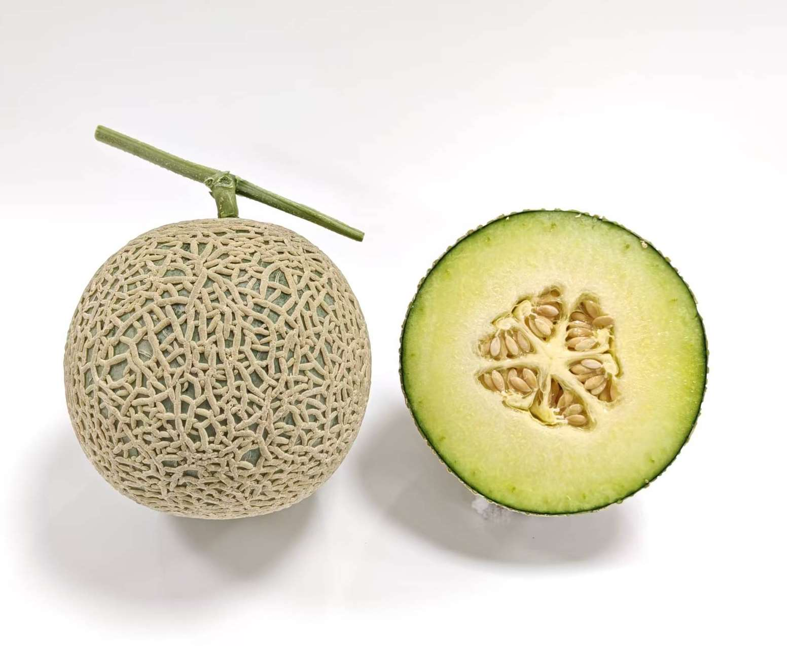 KEENS Hybrid Seeds
